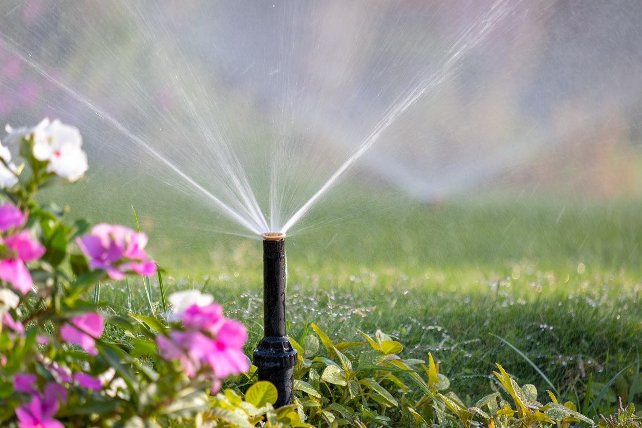 Water Conservation Tips for Homeowners