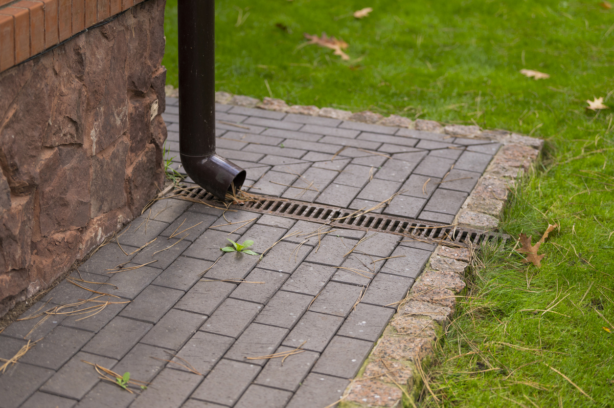 Drain in Backyard of Home