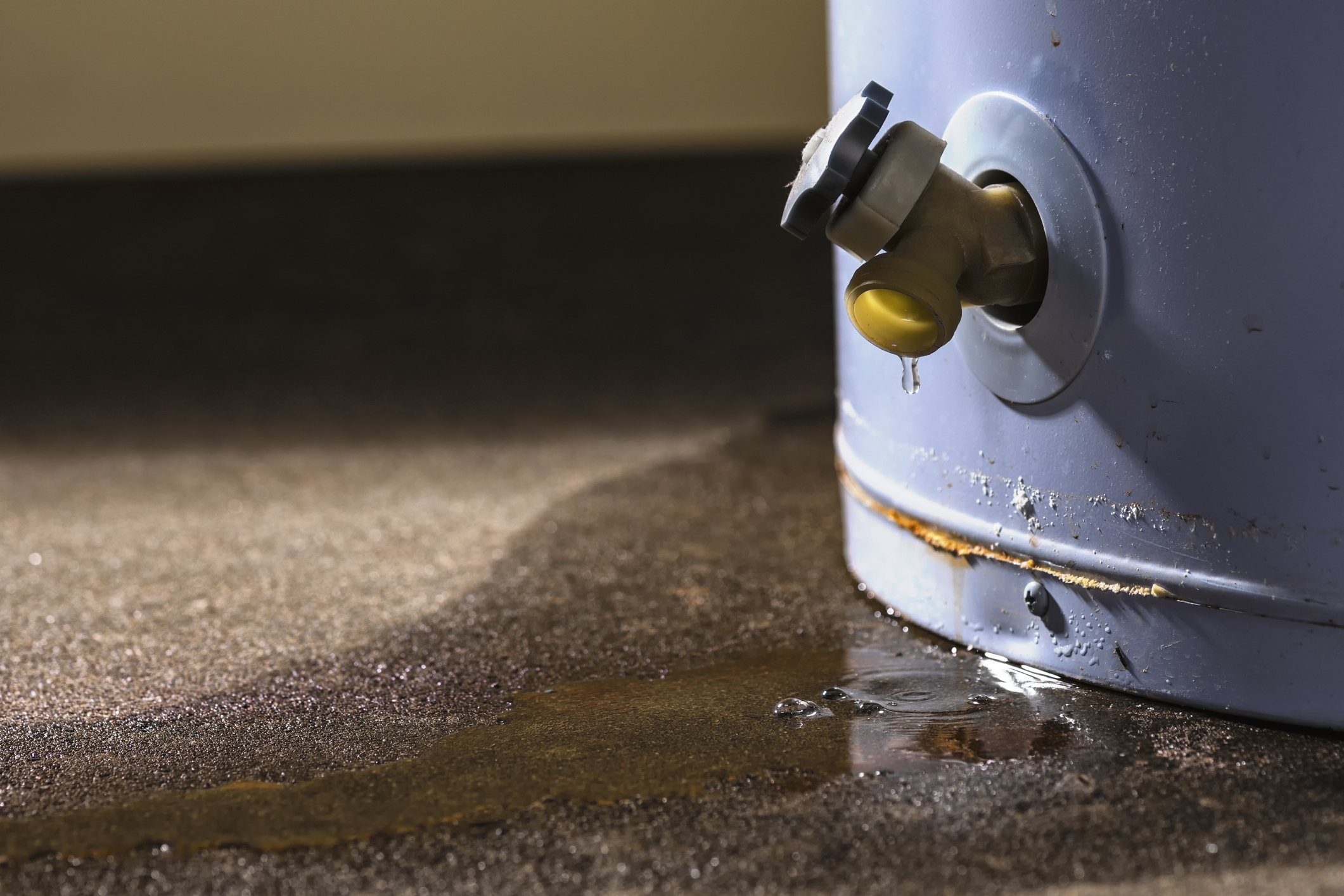 Leak Detection and Repair